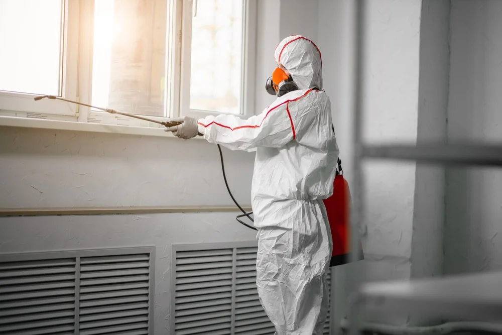 Professional mold remediation services in Swarthmore, PA